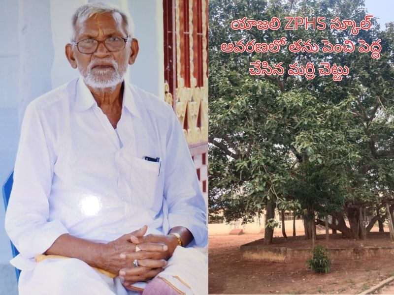  ZPHS స్కూల్ ఆవరణలో తను పెంచి పెద్ద చేసిన మర్రి చెట్టు.jpg